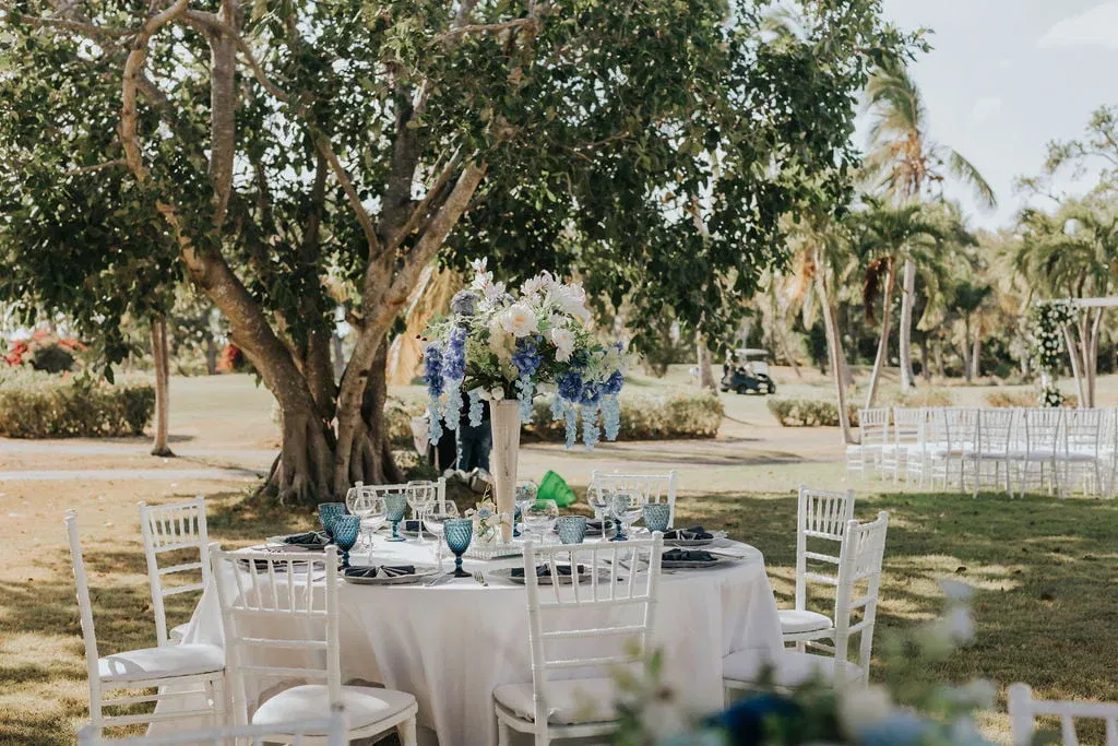 At TES Events Planner, we create unique and memorable events in Punta Cana, Dominican Republic. From weddings to corporate meetings, let us create an exceptional experience for you
